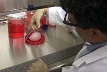 Yapay Mesane Belirtileri ve Tedavisi